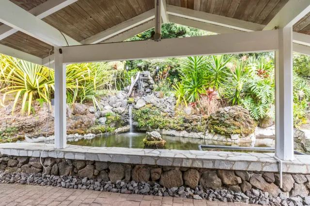 a view of a garden from a window