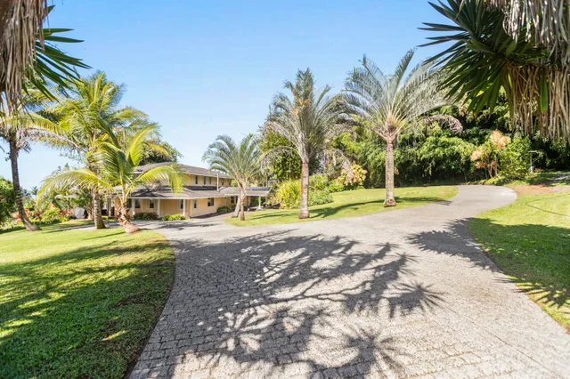 a view of a house with a yard and coconut trees