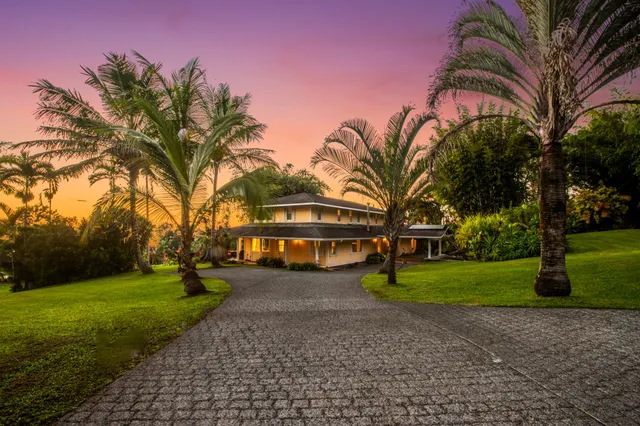 a view of a park with large trees