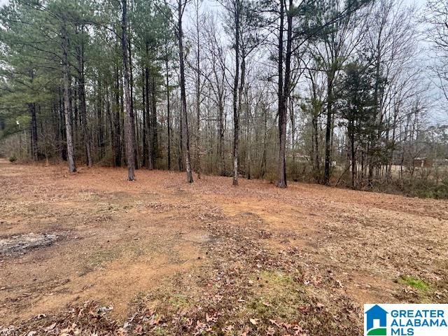 3229 Center Star Road Ragland, AL 35131 - Photo 25 of 25