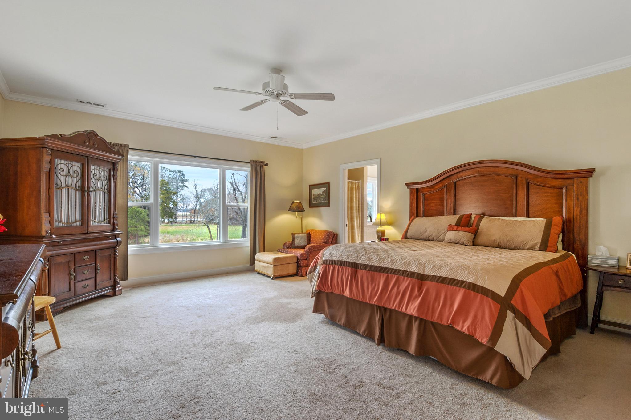 28390 Black Road Princess Anne, MD 21853 - Photo 50 of 82