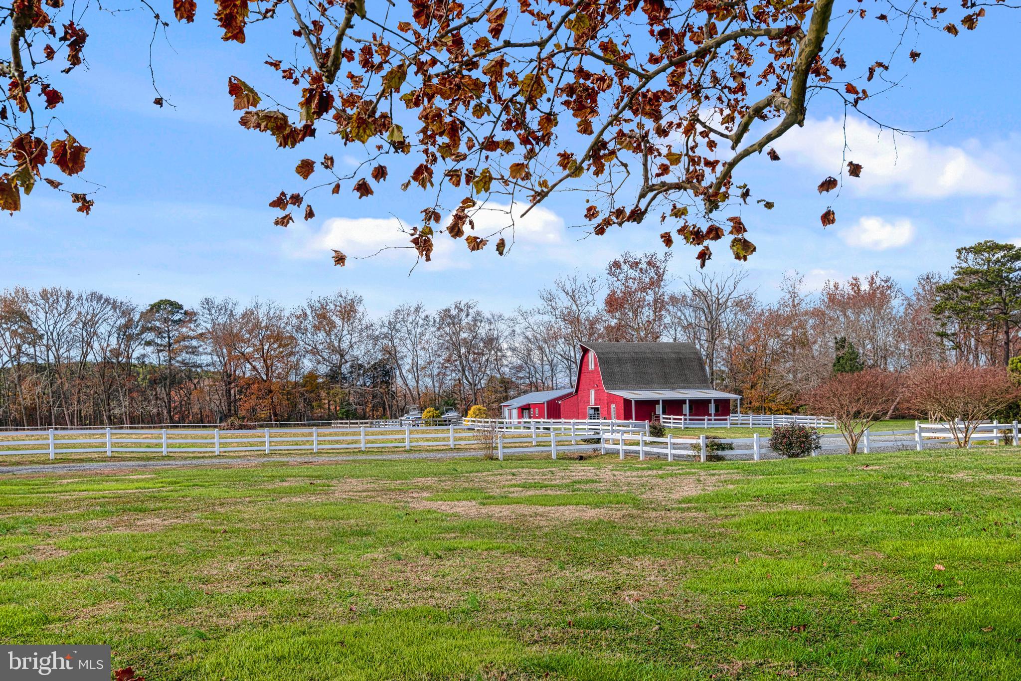 28390 Black Road Princess Anne, MD 21853 - Photo 77 of 82
