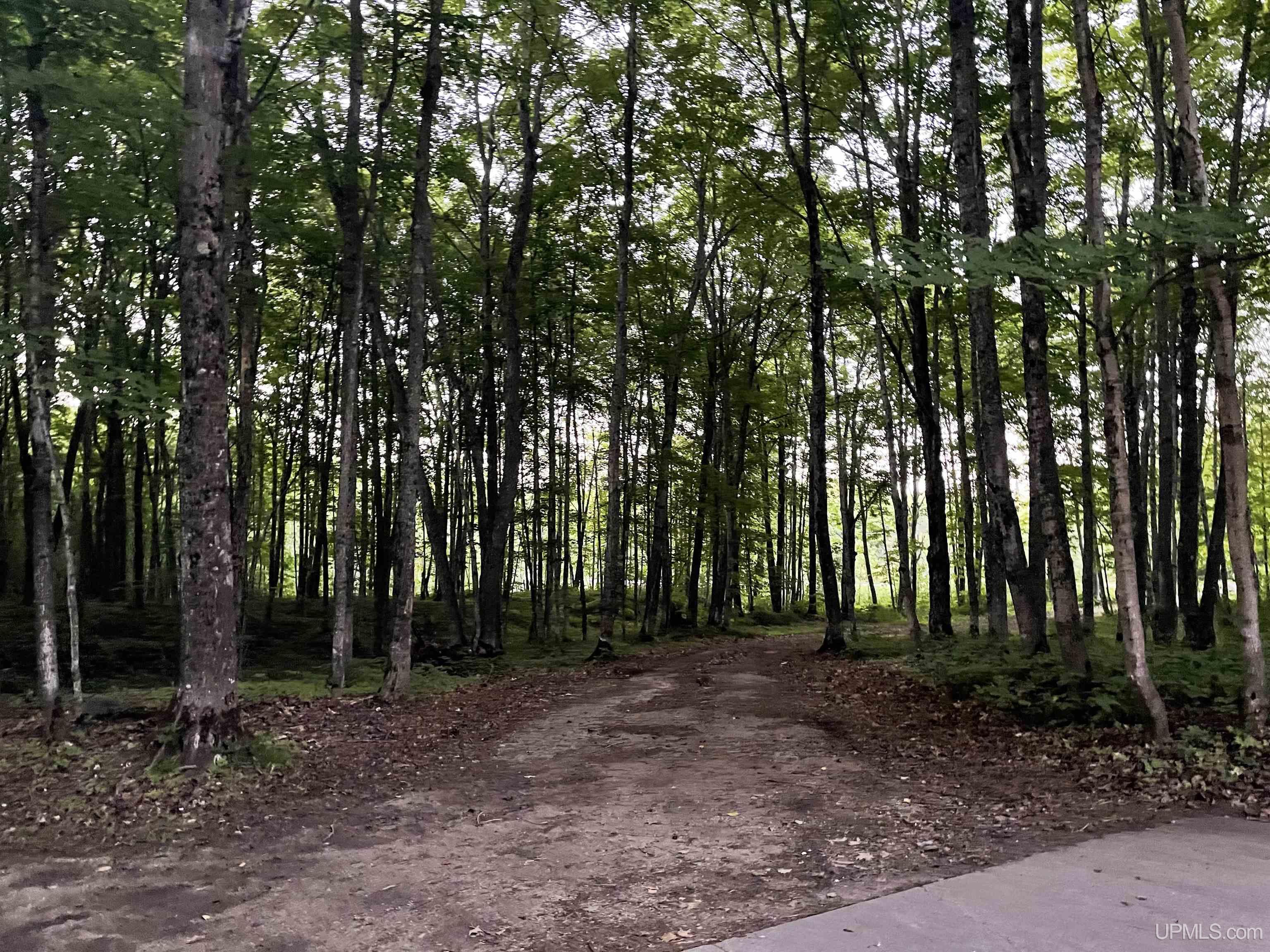N6975 H15 Shingleton, MI 49884 - Photo 21 of 21 Gallery Image 21