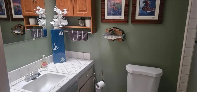a bathroom with a sink vanity and toilet