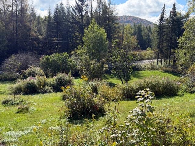 849 Reservoir Road Orange, VT 05641 - Photo 23 of 31 Gallery Image 23