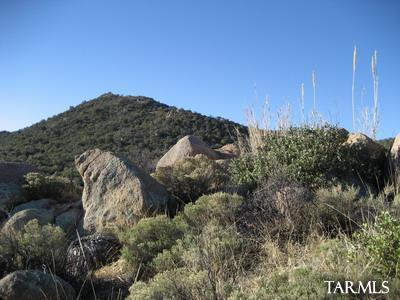 0 South Coronado Ridge Road, Unit 3 7ACRES Oracle, AZ 85623 - Photo 4 of 6