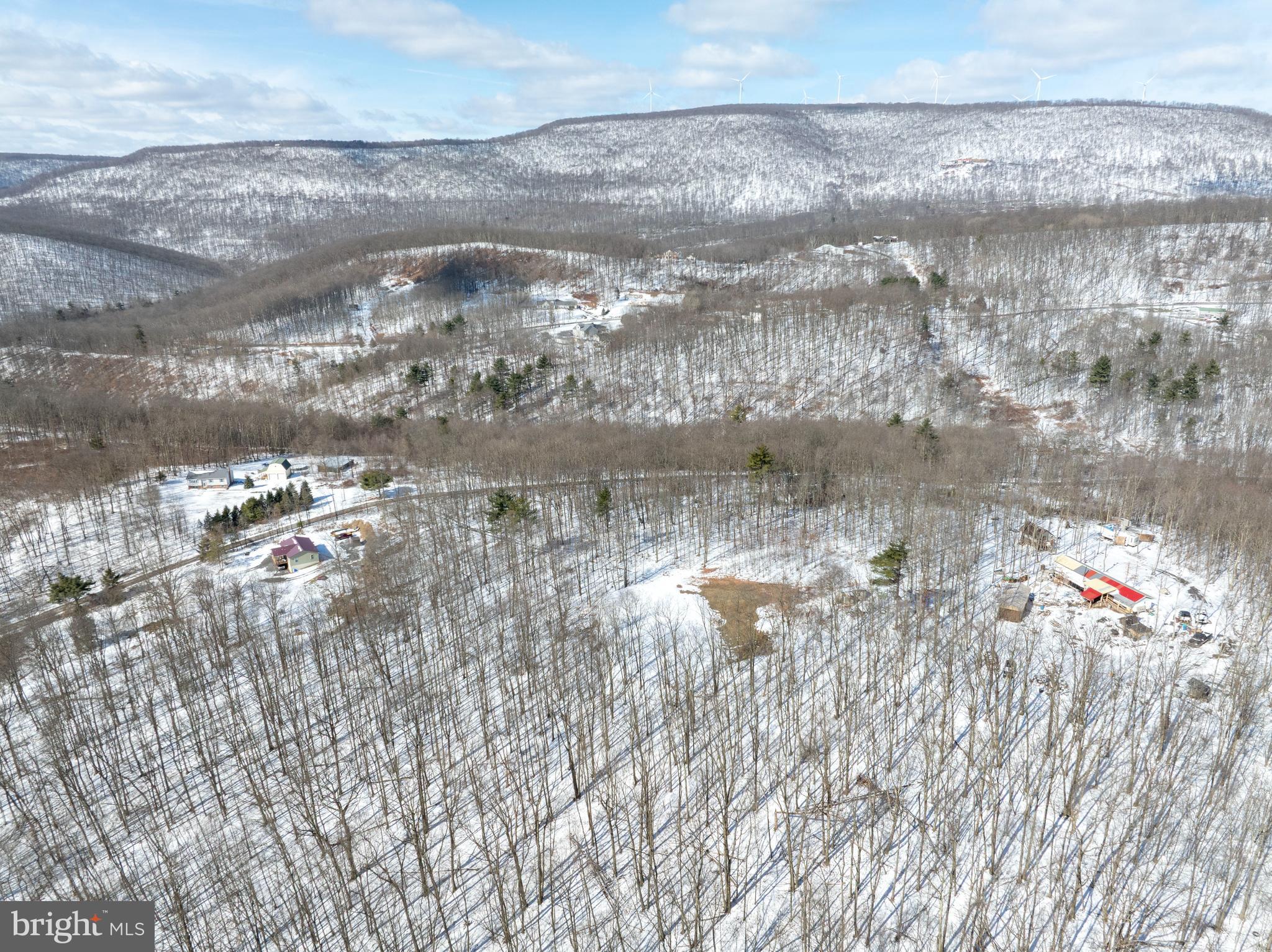 Lot On Gypsy Camp Hollow Road Tyrone, PA 16686 - Photo 11 of 14