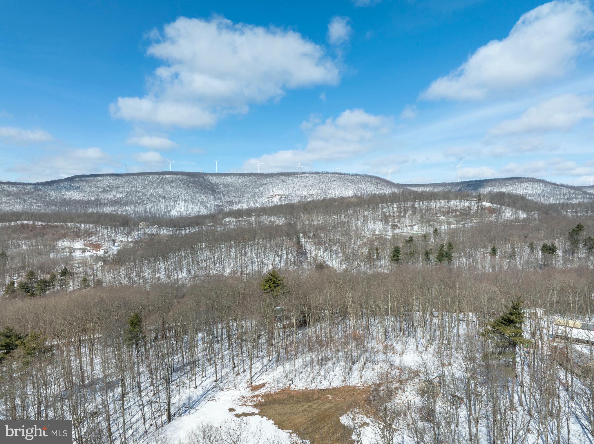 Lot On Gypsy Camp Hollow Road Tyrone, PA 16686 - Photo 3 of 14