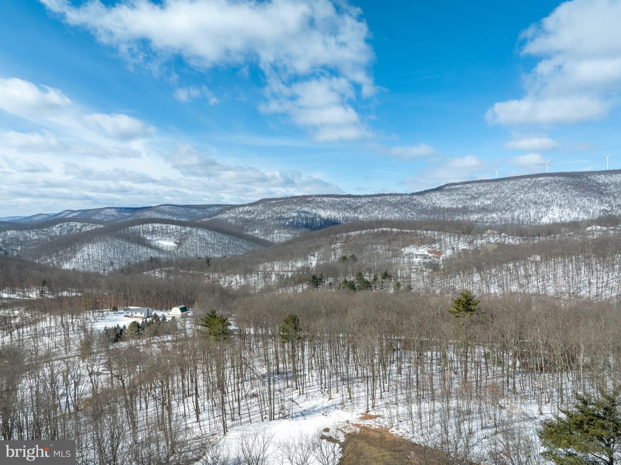 Lot On Gypsy Camp Hollow Road Tyrone, PA 16686 - Photo 4 of 14