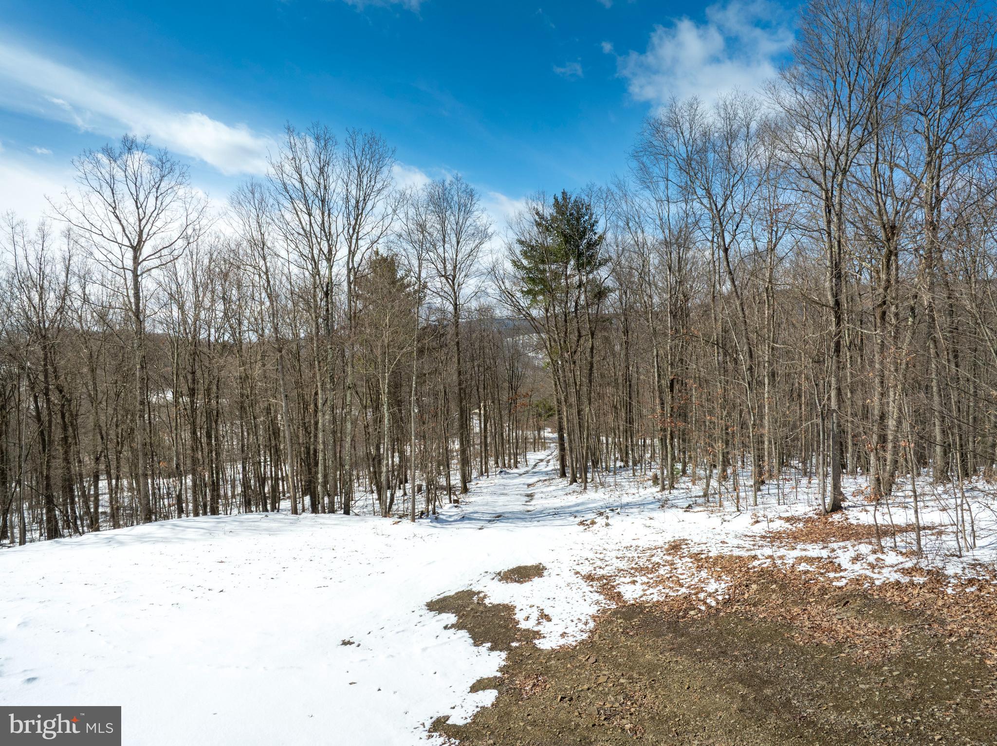 Lot On Gypsy Camp Hollow Road Tyrone, PA 16686 - Photo 5 of 14
