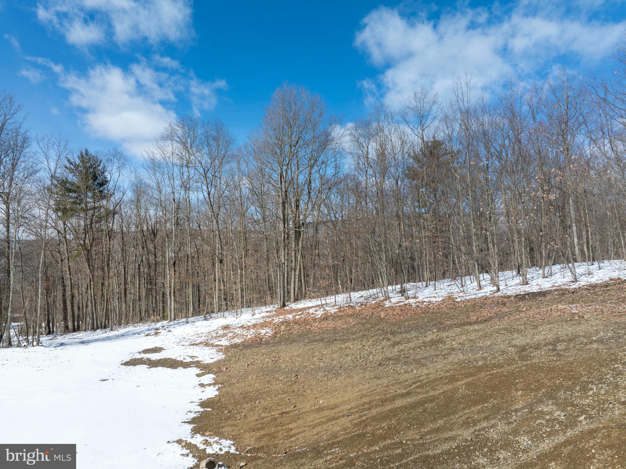 Lot On Gypsy Camp Hollow Road Tyrone, PA 16686 - Photo 7 of 14