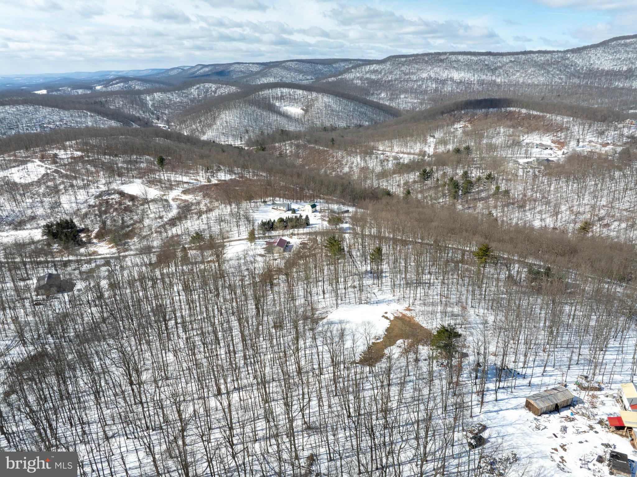 Lot On Gypsy Camp Hollow Road Tyrone, PA 16686 - Photo 10 of 14