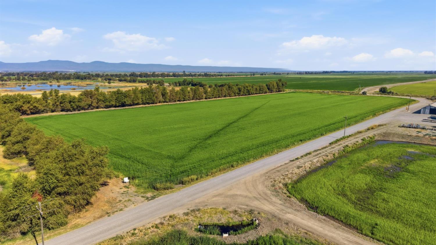 0 Jameson Road Colusa, CA 95932 - Photo 11 of 13 Gallery Image 11