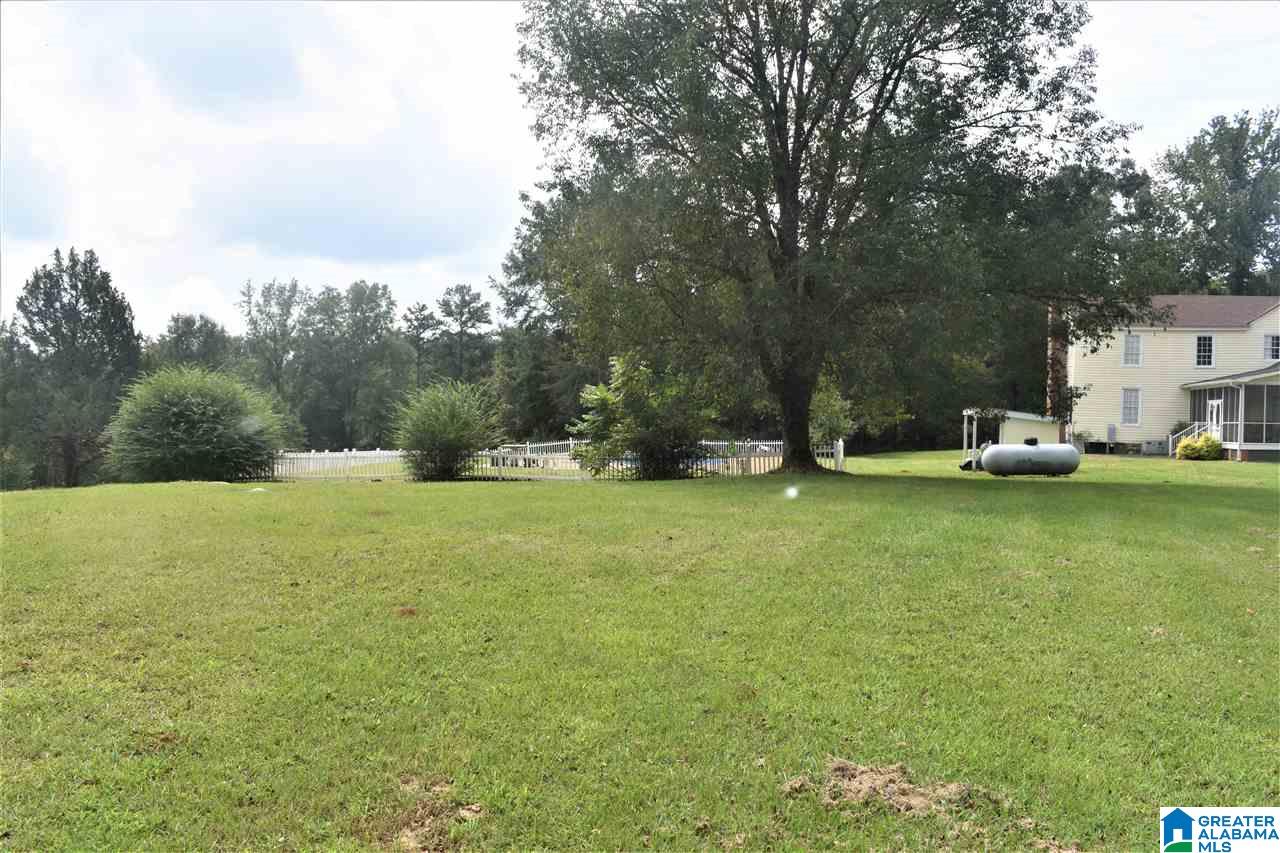 3086 McElderry Road North Munford, AL 36268 - Photo 6 of 44
