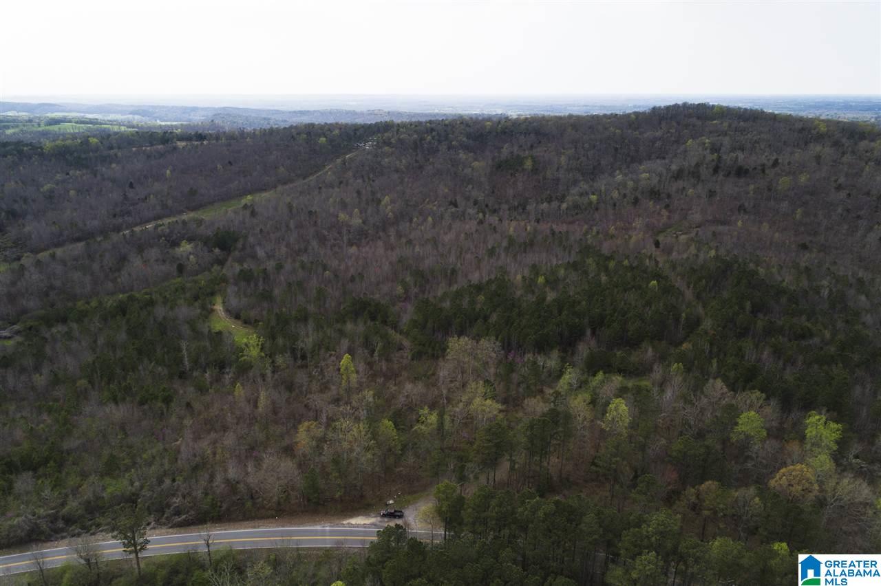 0 Joy Road Blountsville, AL 35031 - Photo 9 of 22