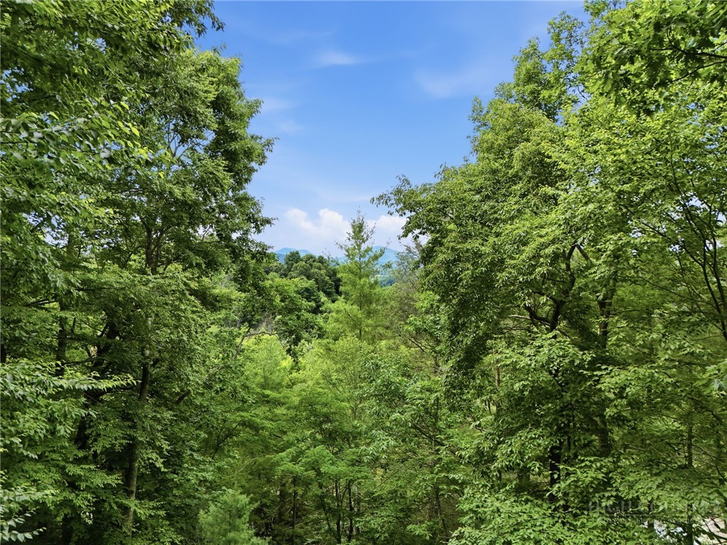 176 Raven View Boone, NC 28607 - Photo 29 of 39