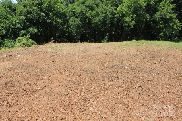 a view of empty field with trees in background