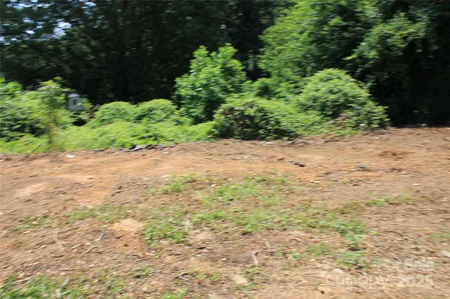 a view of a plants with pathway