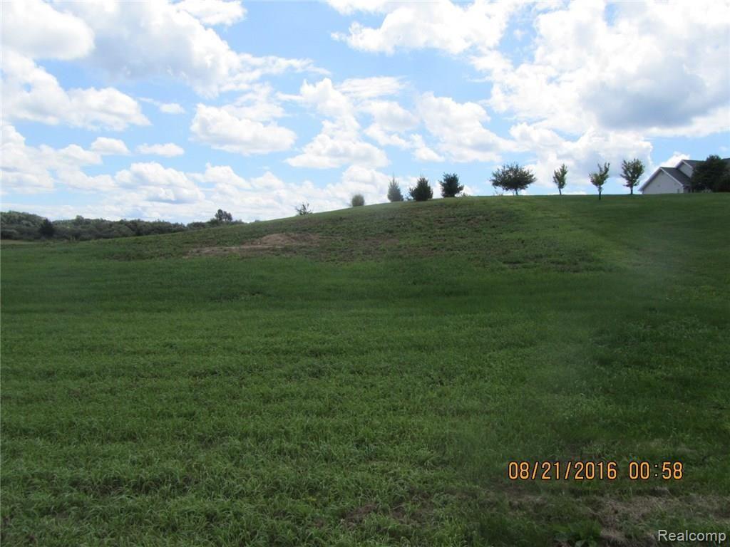 11 West Coon Lake Road Howell, MI 48843 - Photo 4 of 5