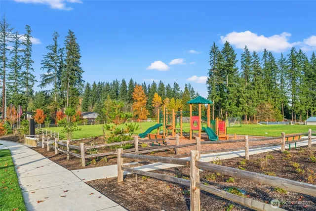 a view of a park with large trees