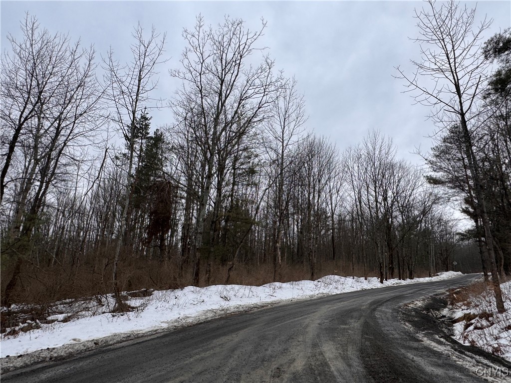 102 Beech Hill Road Newfield, NY 14867 - Photo 2 of 6