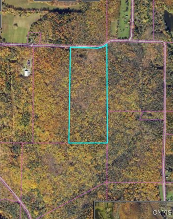 102 Beech Hill Road Newfield, NY 14867 - Photo 6 of 6