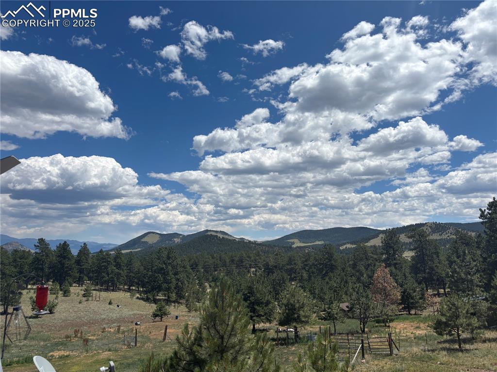 201 Terry Lane Guffey, CO 80820 - Photo 18 of 25