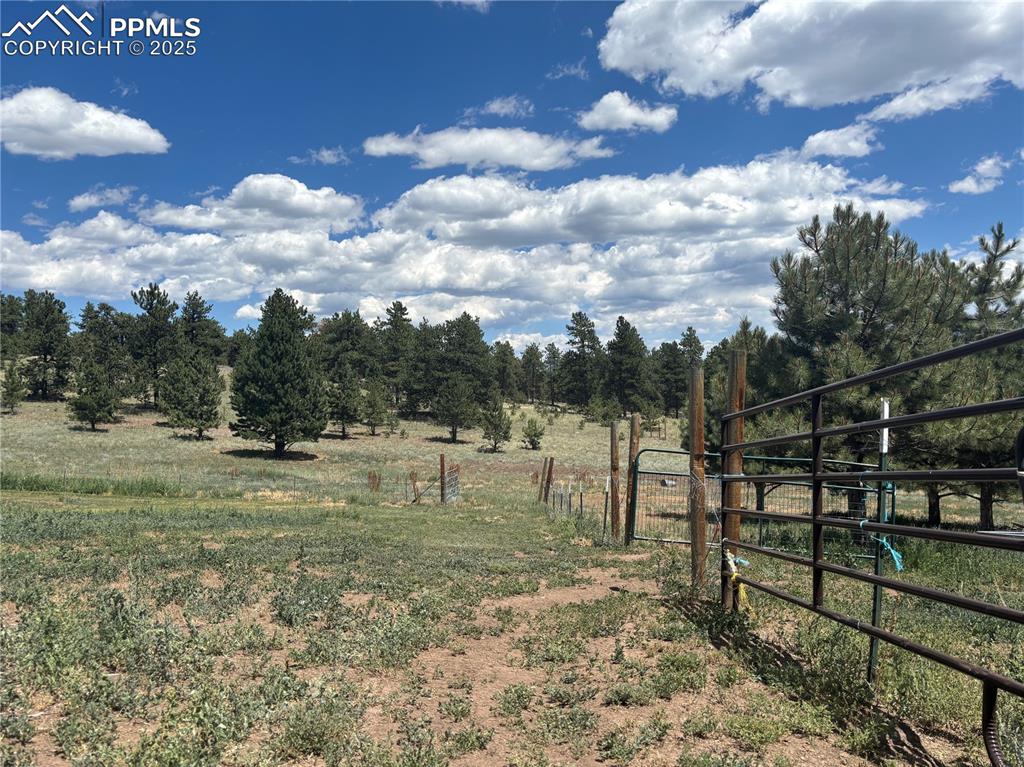 201 Terry Lane Guffey, CO 80820 - Photo 22 of 25 a view of a garden with a slide