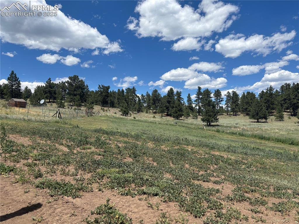 201 Terry Lane Guffey, CO 80820 - Photo 23 of 25 a view of a playground