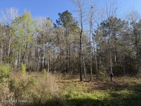 1404 Gene Road Southwest Bogue Chitto, MS 39629 - Photo 15 of 18 374FD57E-CBB6-4883-ADD7-F45B8EBB2F90_4_5