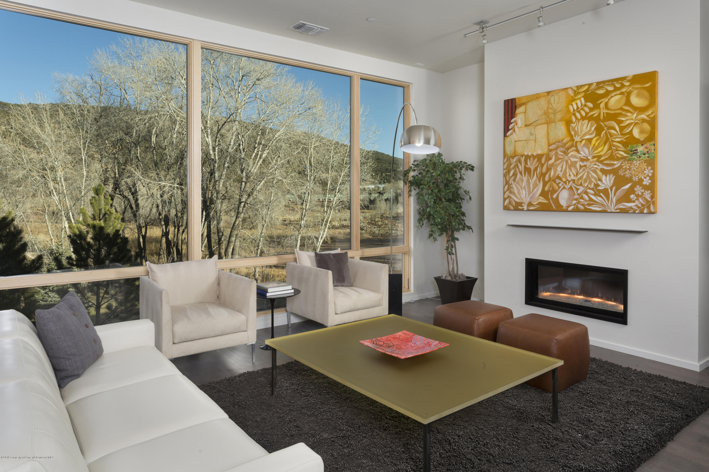 102 Evans Road, Unit 204 Basalt, CO 81621 - Photo 17 of 65 ParkModern204_HIRES-4