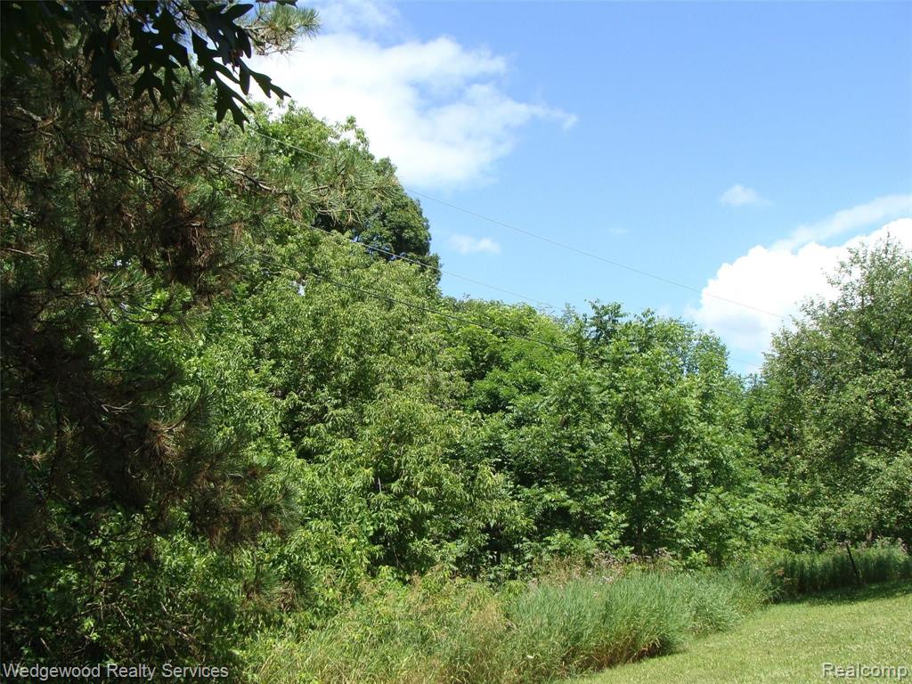 0 East Rose Center Road Pontiac, MI 48342 - Photo 5 of 18