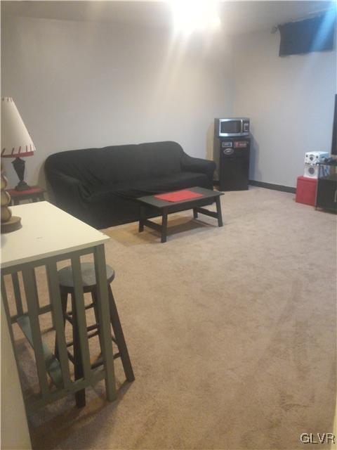 310 Ridgeview Drive Alburtis, PA 18011 - Photo 28 of 28 Gallery Image 28