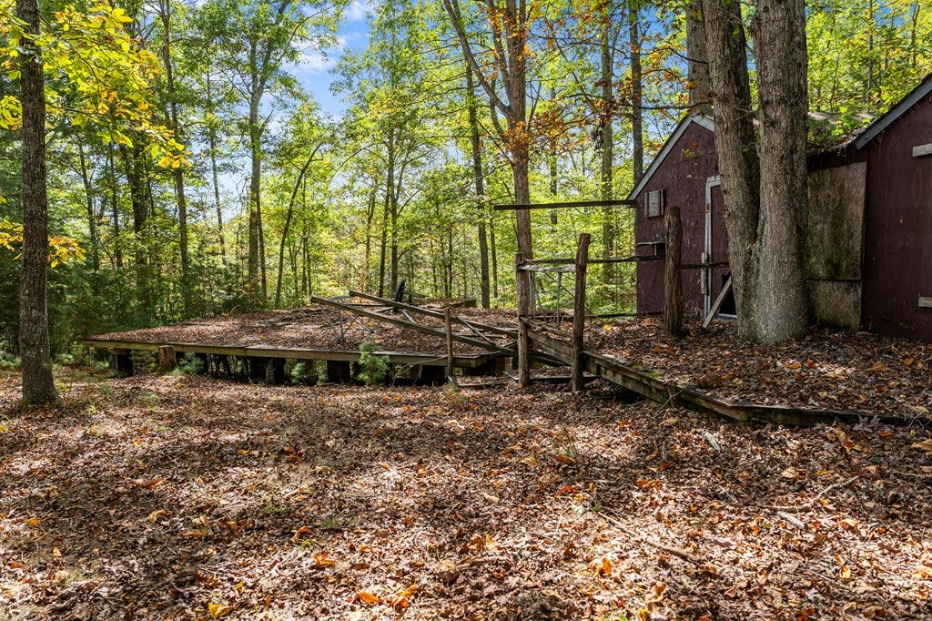 Tbd Scratch Gravel Road Max Meadows, VA 24360 - Photo 27 of 37 Gallery Image 27