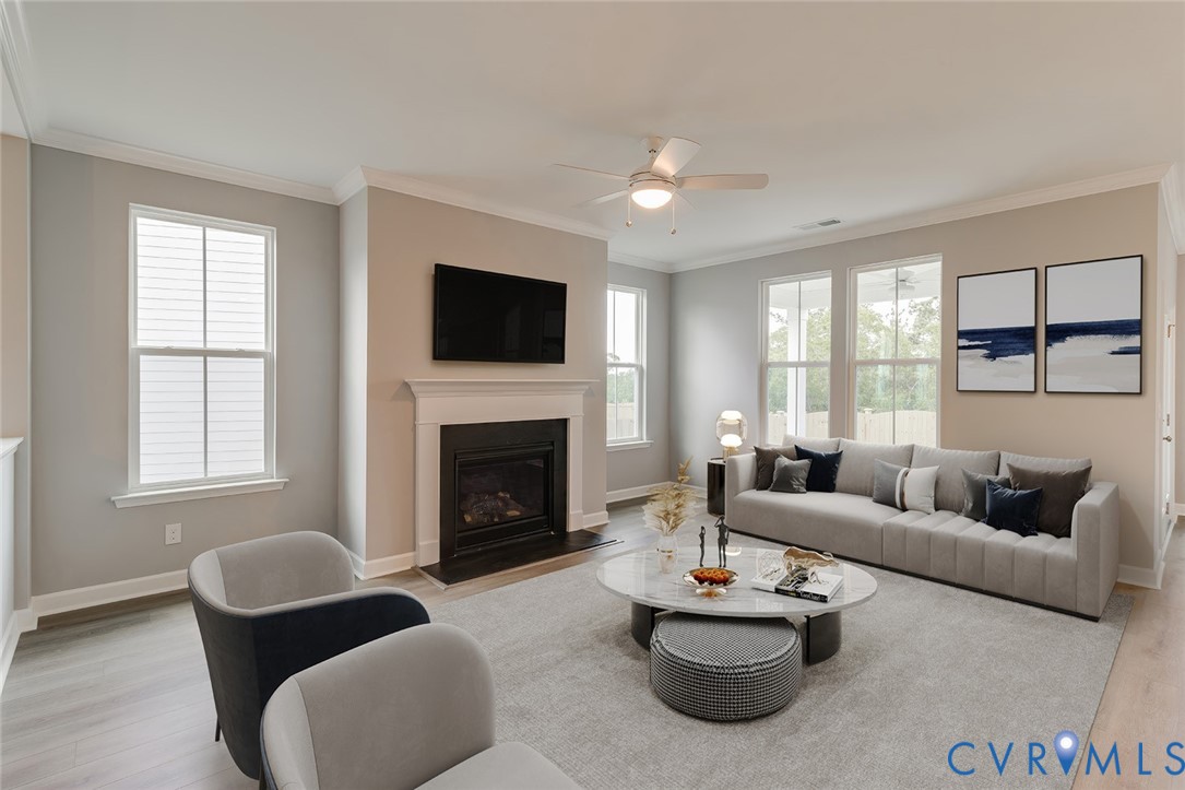 19007 Palisades Ridge Moseley, VA 23120 - Photo 6 of 21 a living room with furniture and a fireplace