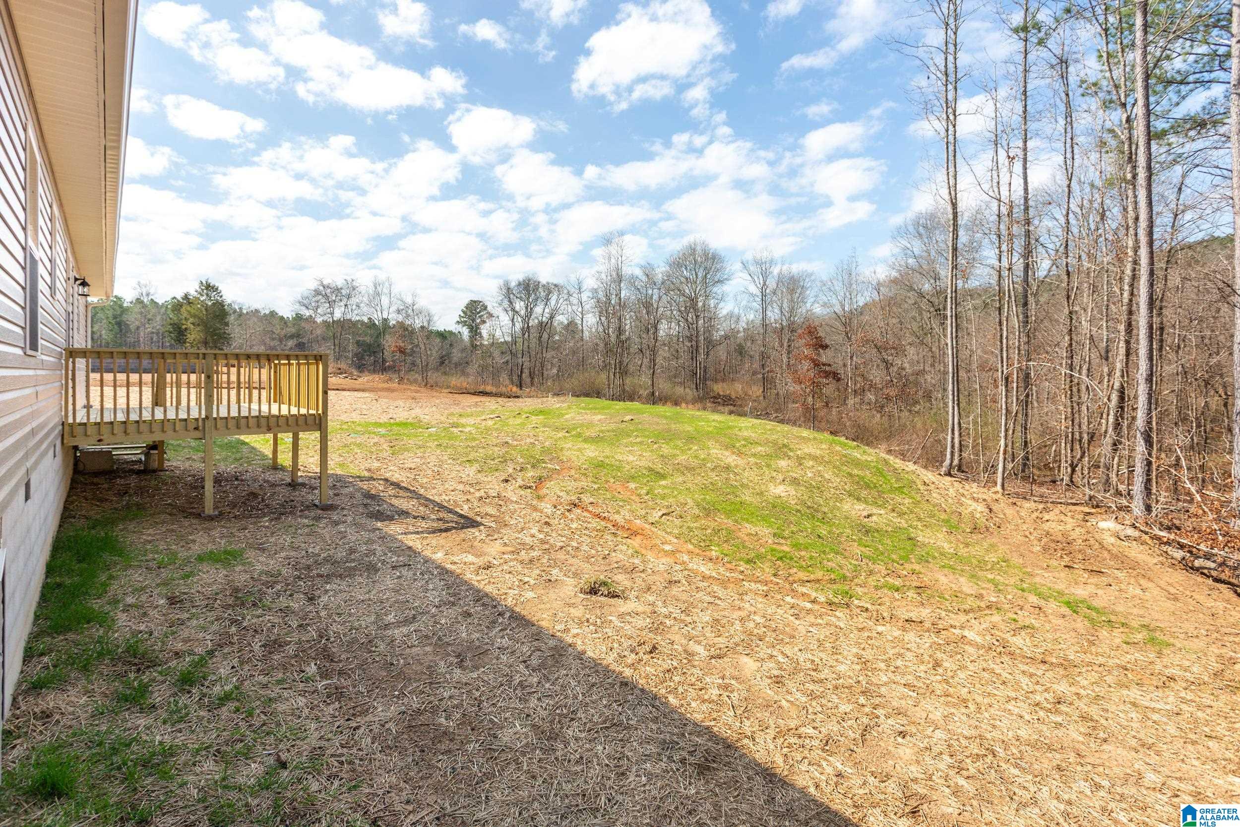 8215 Boiling Springs Road Ohatchee, AL 36271 - Photo 29 of 36