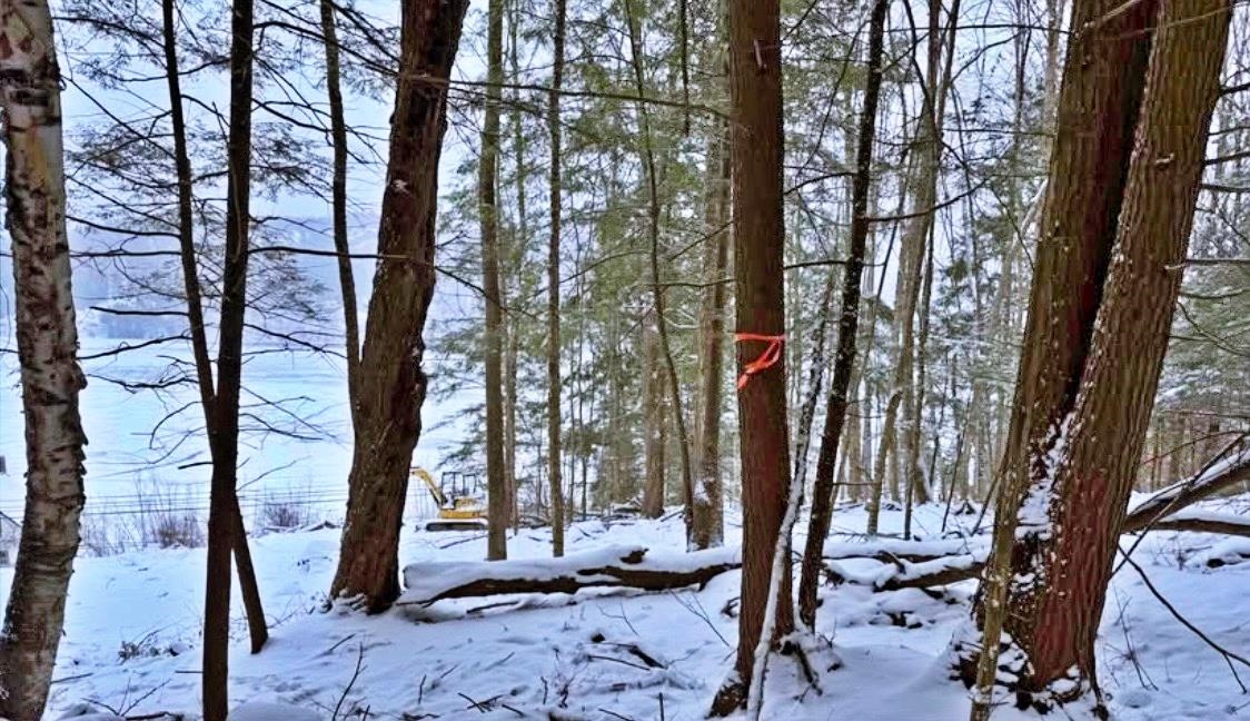 430 Lake Street Barton, VT 05822 - Photo 6 of 9