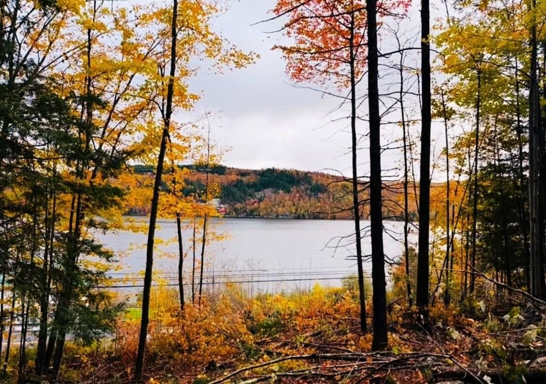 430 Lake Street Barton, VT 05822 - Photo 9 of 9