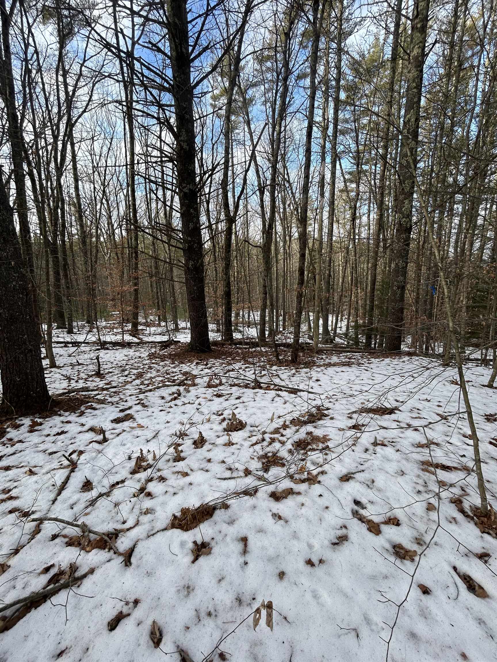 80 Center Hill Road Epsom, NH 03234 - Photo 3 of 7