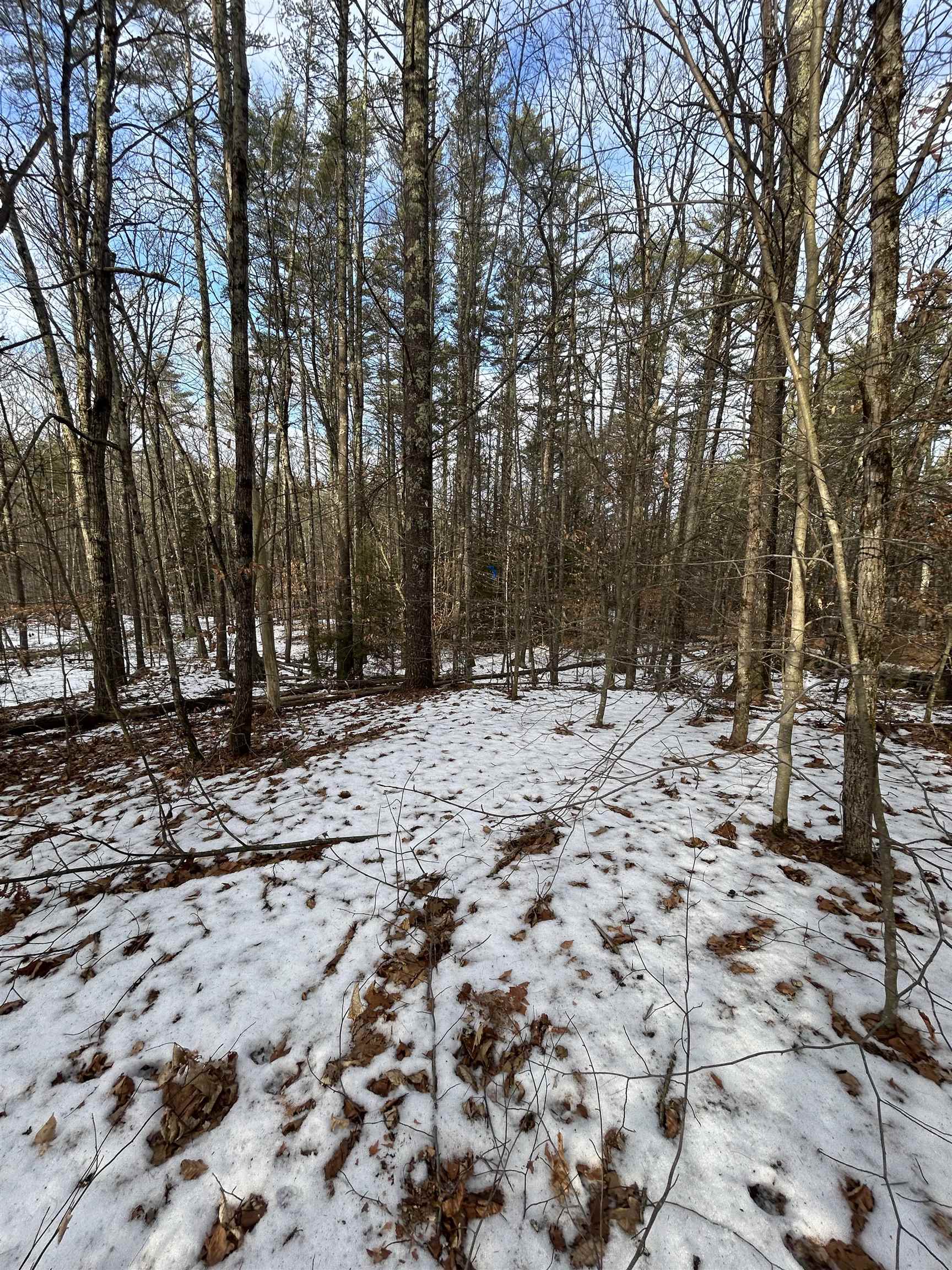 80 Center Hill Road Epsom, NH 03234 - Photo 5 of 7