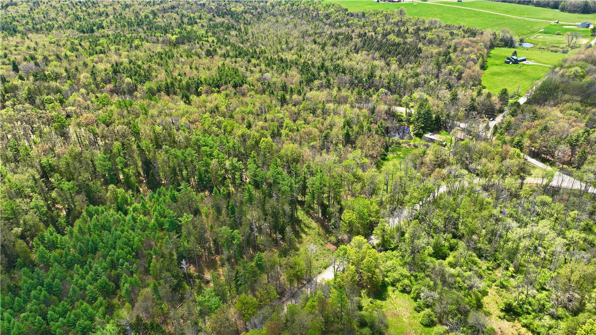 480 Buckley Hill Road Coventry, NY 13730 - Photo 25 of 39