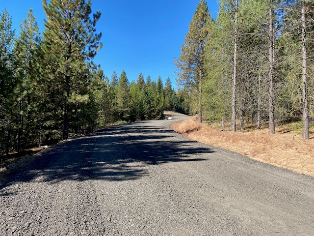 76 Sawtooth Loop, Unit LOT 33 Cascade, ID 83611 - Photo 6 of 8