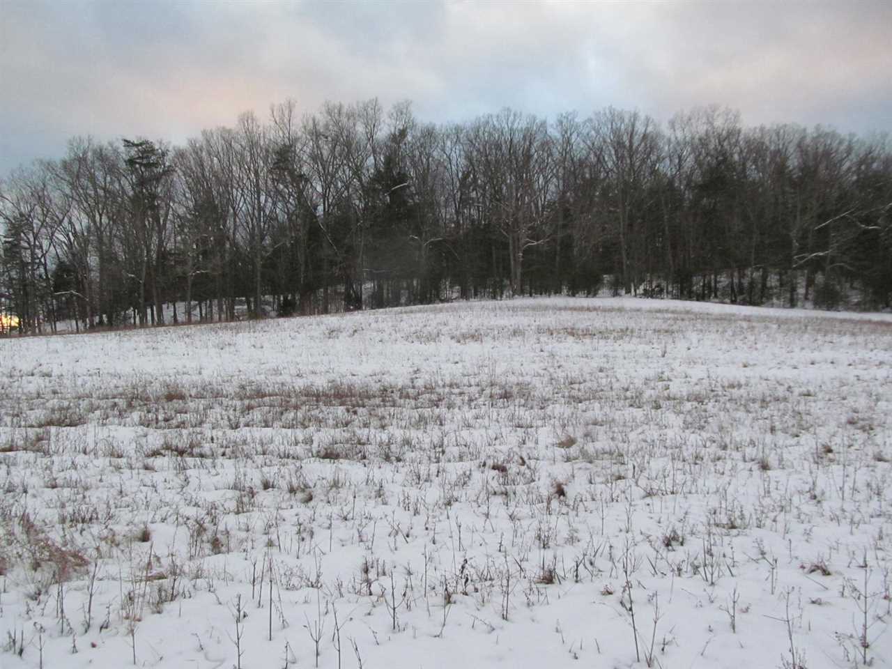 a view of dirt yard with trees