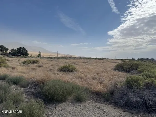 a view of a dry yard with lots of green space