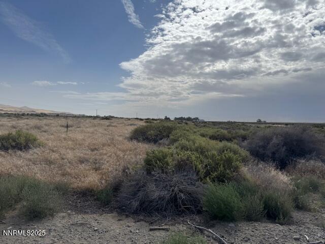 5 Shoshone Street, Unit 5 Imlay, NV 89418 - Photo 6 of 9 a view of a dry yard with lots of green space