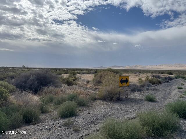 5 Shoshone Street, Unit 5 Imlay, NV 89418 - Photo 7 of 9 a view of a dry yard with lots of green space