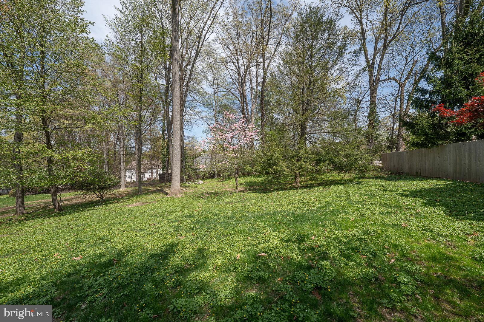 621 Vassar Road Wayne, PA 19087 - Photo 35 of 37 a view of a backyard with large trees