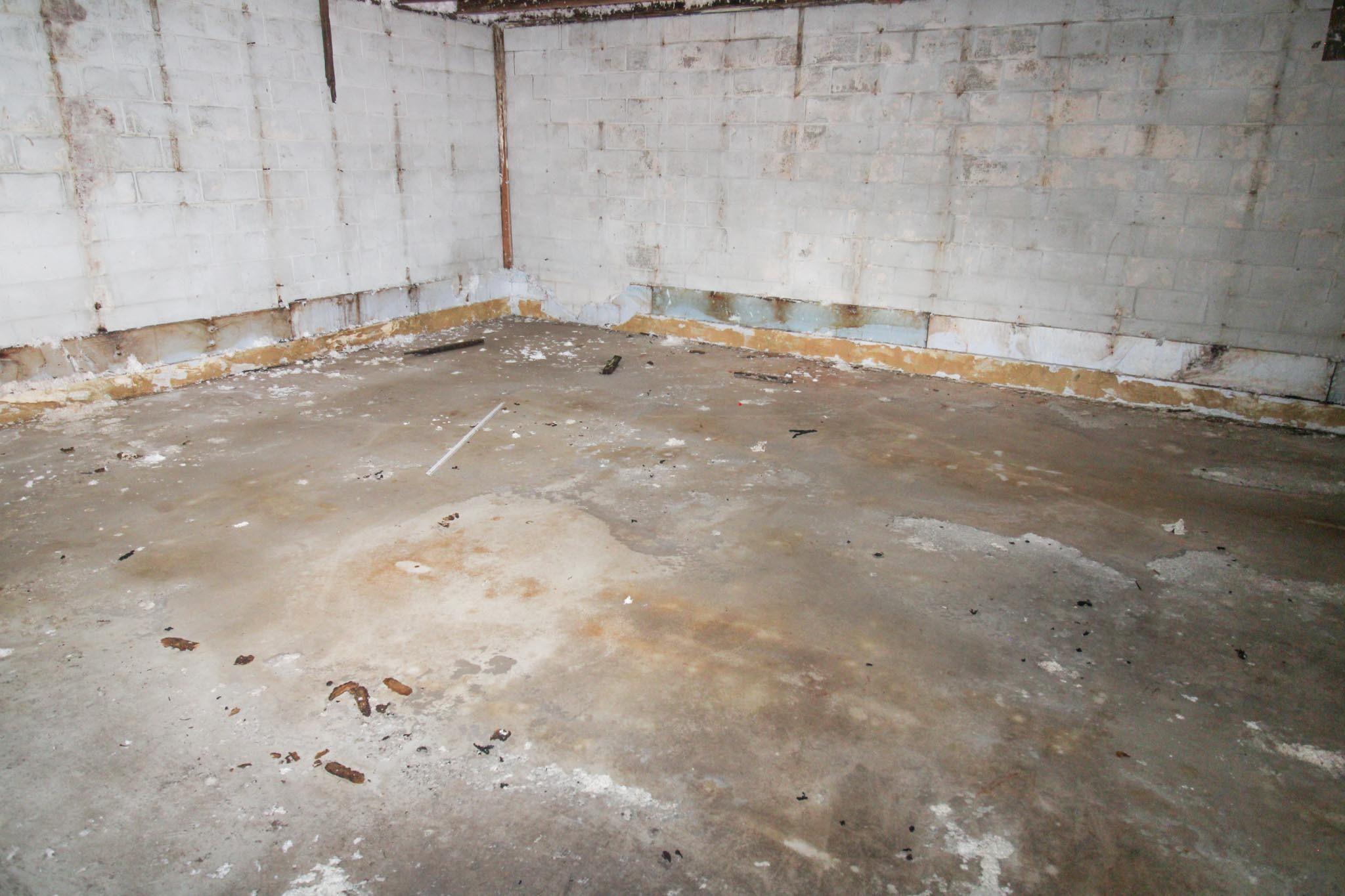 641 Forest Avenue Albany, MN 56307 - Photo 4 of 14