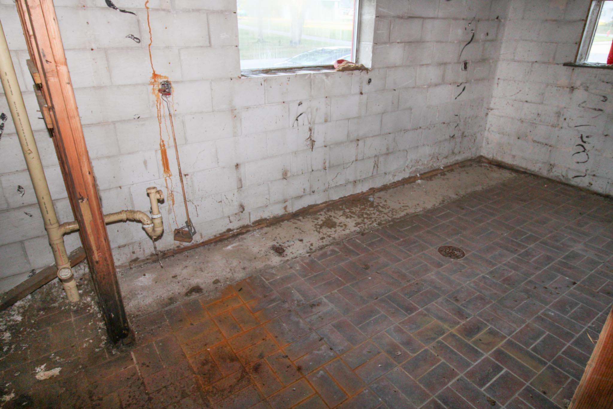 641 Forest Avenue Albany, MN 56307 - Photo 9 of 14