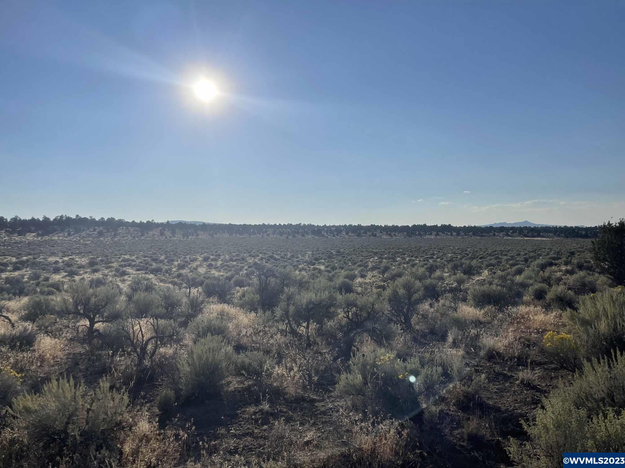 0 Millican Road Christmas Valley, OR 97641 - Photo 6 of 11